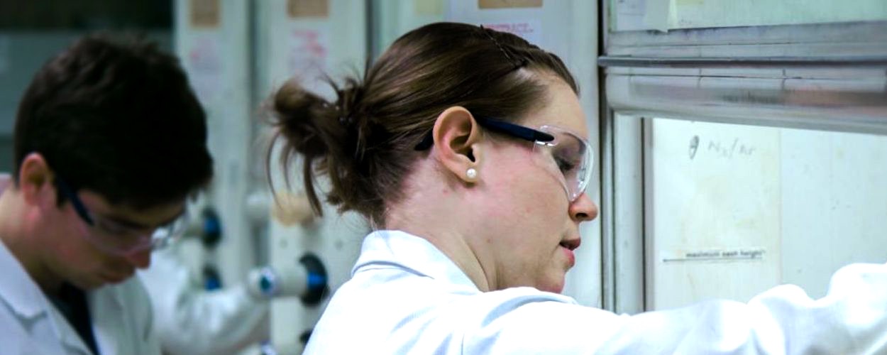 What is taught in schools picture